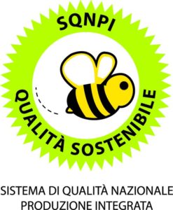 20230320120218sqnpi-logo-247x300.jpg